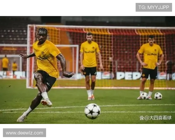 伤病困扰却依然闪耀的足球明星们的奋斗与荣耀之路